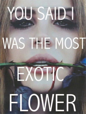Lana Del Rey Born To Die Lyrics Tumblr