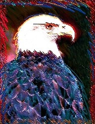 National Symbol Turkey Eagle