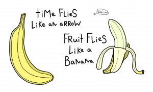 time flies like arrow fruit banana appealing pun