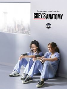Greys-Anatomy-8X10-11x17-16x20-24x36-27x40-TV-Television-Poster ...