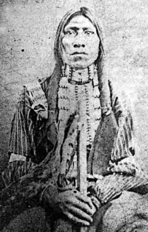 cheyenne indian tribe chiefs http wwwfranksrealmcom indians tribes