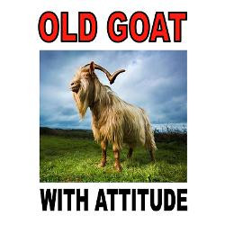 old_goat_greeting_cards.jpg?height=250&width=250&padToSquare=true