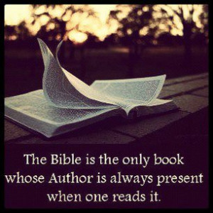 About Bible Quotes