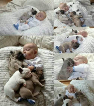 Cute baby w/ Pug dogs. Aww