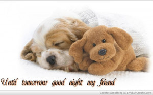 Until tomorrow good night my friend