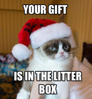Meme of the year: Grumpy Cat