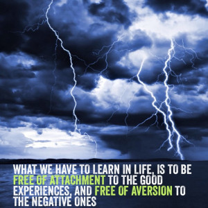 aversion and attachment