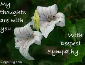 sympathy Pictures, Images and Photos
