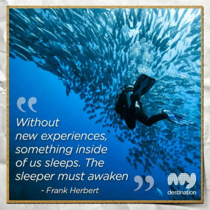 The sleeper must awaken. #travel #quote