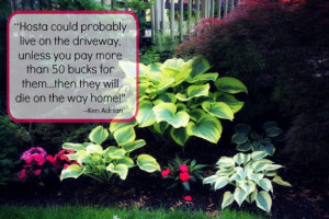 Flowering Wisdom | Gardening Quotes from Eagleson