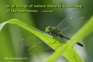 nature quotes