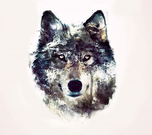 wolf art black wild animal pack the wolves white 1440x1280 Quotes