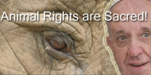 ... Miracle: A Papal Decree Declaring Animal Rights Sacred – Petition