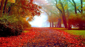 ... has a way of changing things in incredible ways.