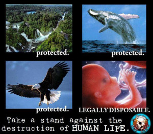 Take a stand against the destruction of human life.