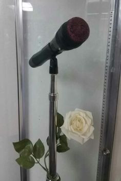 Selena's microphone, lipstick and all. Photo taken at the Selena ...