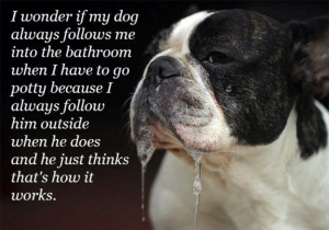 Funny Quotes Over Pictures Of Drooling Animals (14 Photos)
