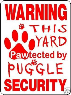 Puggle Security ♥