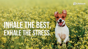 Starting Today You Can Be the Happiest Person If You Pick Up These ...