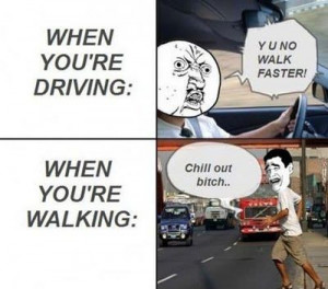 car-humor-funny-joke-driver-pedestrian-meme