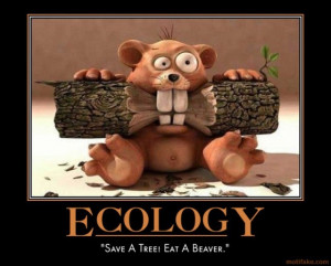 Ecology life time human nature purpose save nature tree eat ...