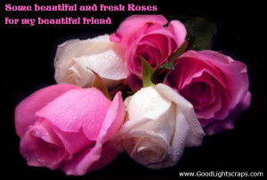 Beautiful roses for my beautiful friend