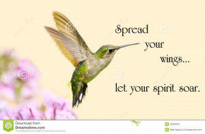 Inspirational quote on life with a beautiful ruby throated hummingbird ...