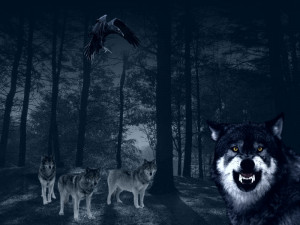 Between Wolves And Darkness