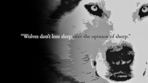 Wolves And Sheep Quotes Images 540x303 Wolves And Sheep Quotes Images