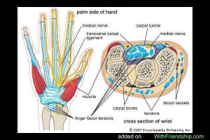 Carpal Tunnel Syndrome Picture Slideshow