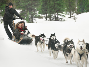 Dog Sledding, Parks Canada Cultural Program and Your Fourth Northern ...