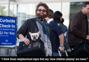 The Comical Genius Of Zach Galifianakis (20 Pics)