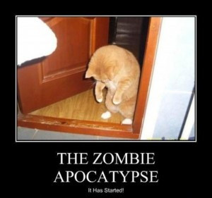 The Zombie Apocalypse – It Has Begun!