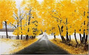 XCOttawa.ca has just posted about their annual First Snowfall Contest ...