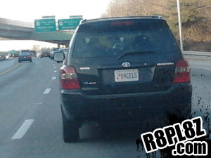 DANGLES – so the plate reads…”VIRGINIA DANGLES KIDS FIRST”