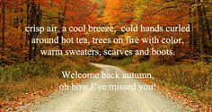 Welcome back autumn #autumn #fall #leaves More