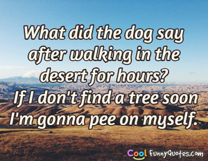 What did the dog say after walking in the desert for hours? If I don't ...