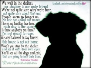 aww how sad..please adopt, don't buy