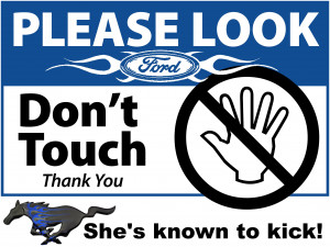 Look but don't touch BLUE ford mustang Image