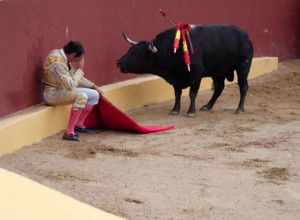 Bullfighter's Remorse Ends His Bloody Career