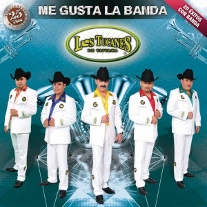 ... Me Gusta La Banda (25 Años Excelencia Musical/ 20 Éxitos Con Banda