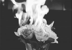 flowers, nature, fire, black and white, moigifs