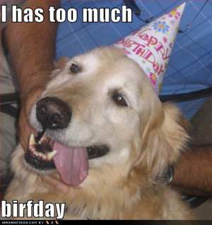 funny-dog-pictures-too-much-birthday.jpg