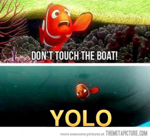 see the best of finding nemo finding nemo funny best of photos of the ...