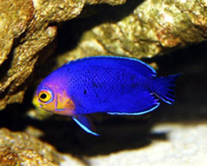 Funny Quotes Contact Us DMCA Notice