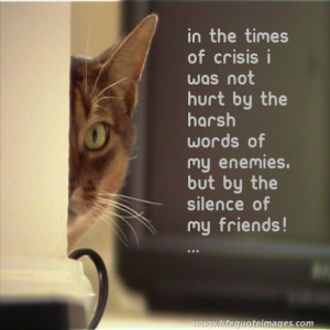 In the times of crisis i was hurt by the silence of my friends