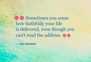 Ted quotes twitter wallpapers