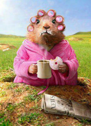 Good Morning squirrel!