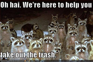 Gardens and Birds-funny-pictures-raccoons-here-help-you.jpg