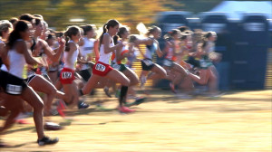 Photograph of the University High School cross-country team by Robin ...